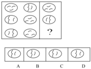 每日特訓(xùn)：公務(wù)員考試講義-邏輯推理（二）(圖5)